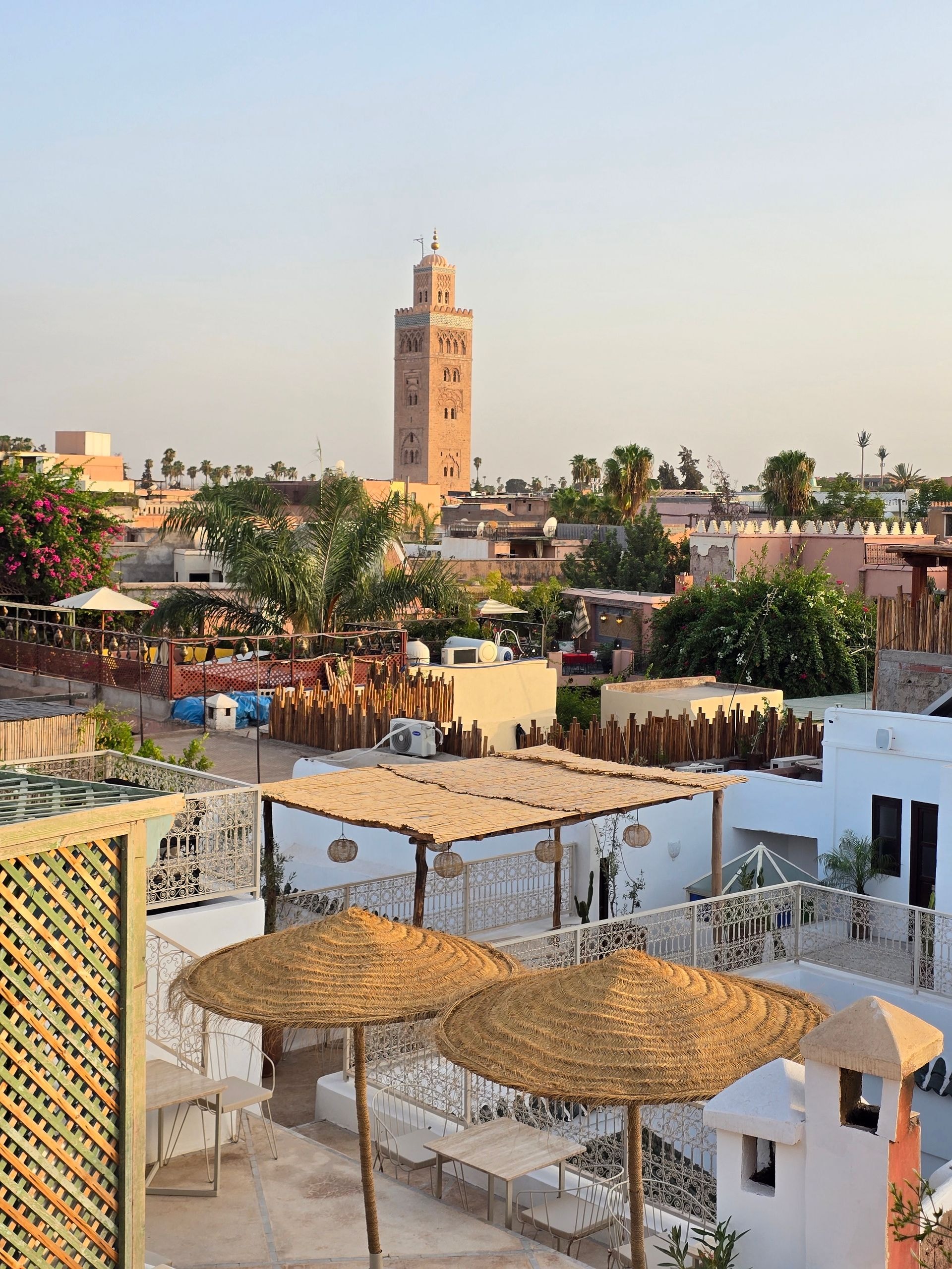 Dîner sur un rooftop de la médina