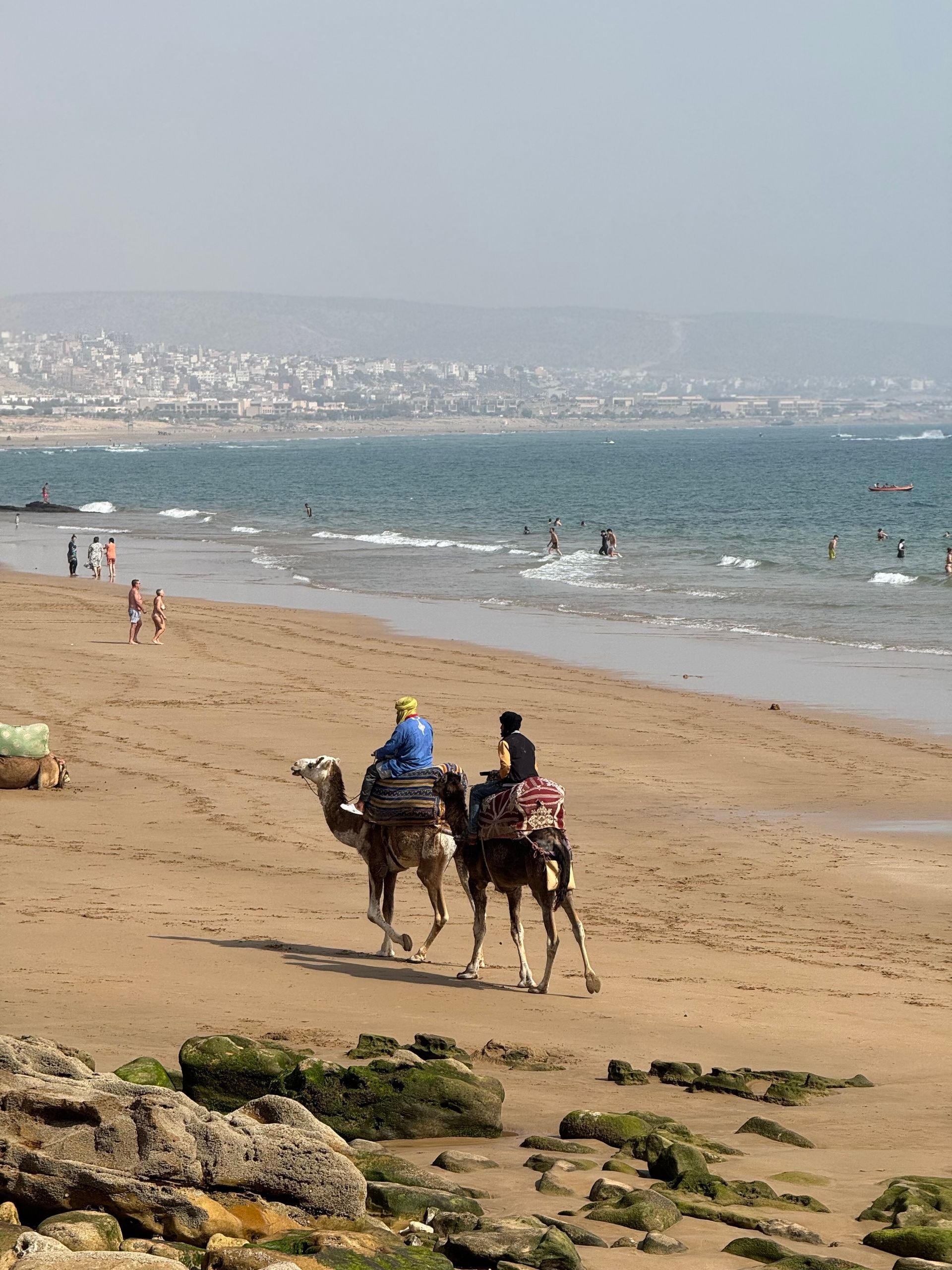 Balade à dromadaire sur la plage d'Agadir