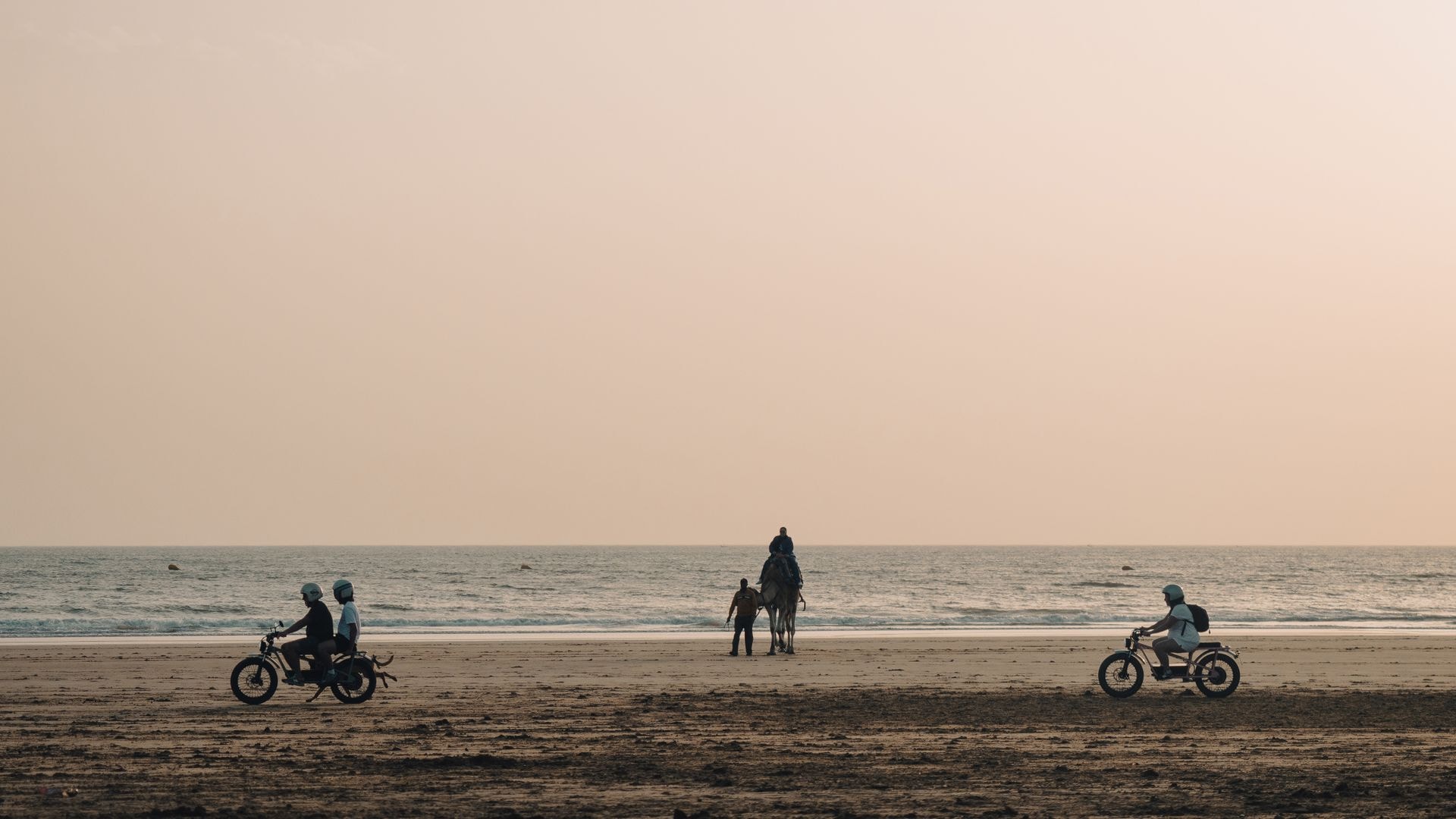 Balade à dromadaire sur la plage d'Essaouira