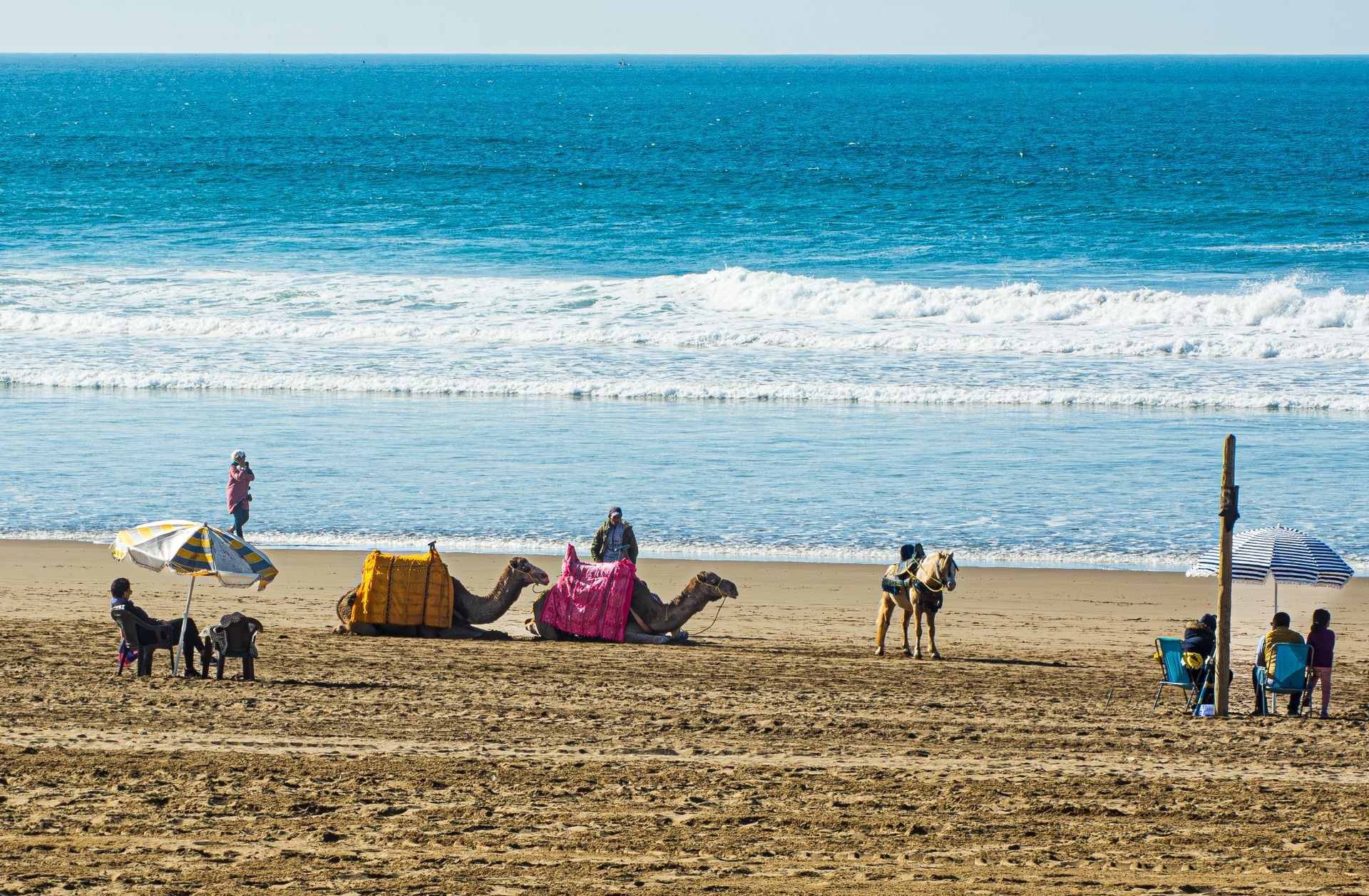 Balade à dromadaire sur la plage d'Essaouira