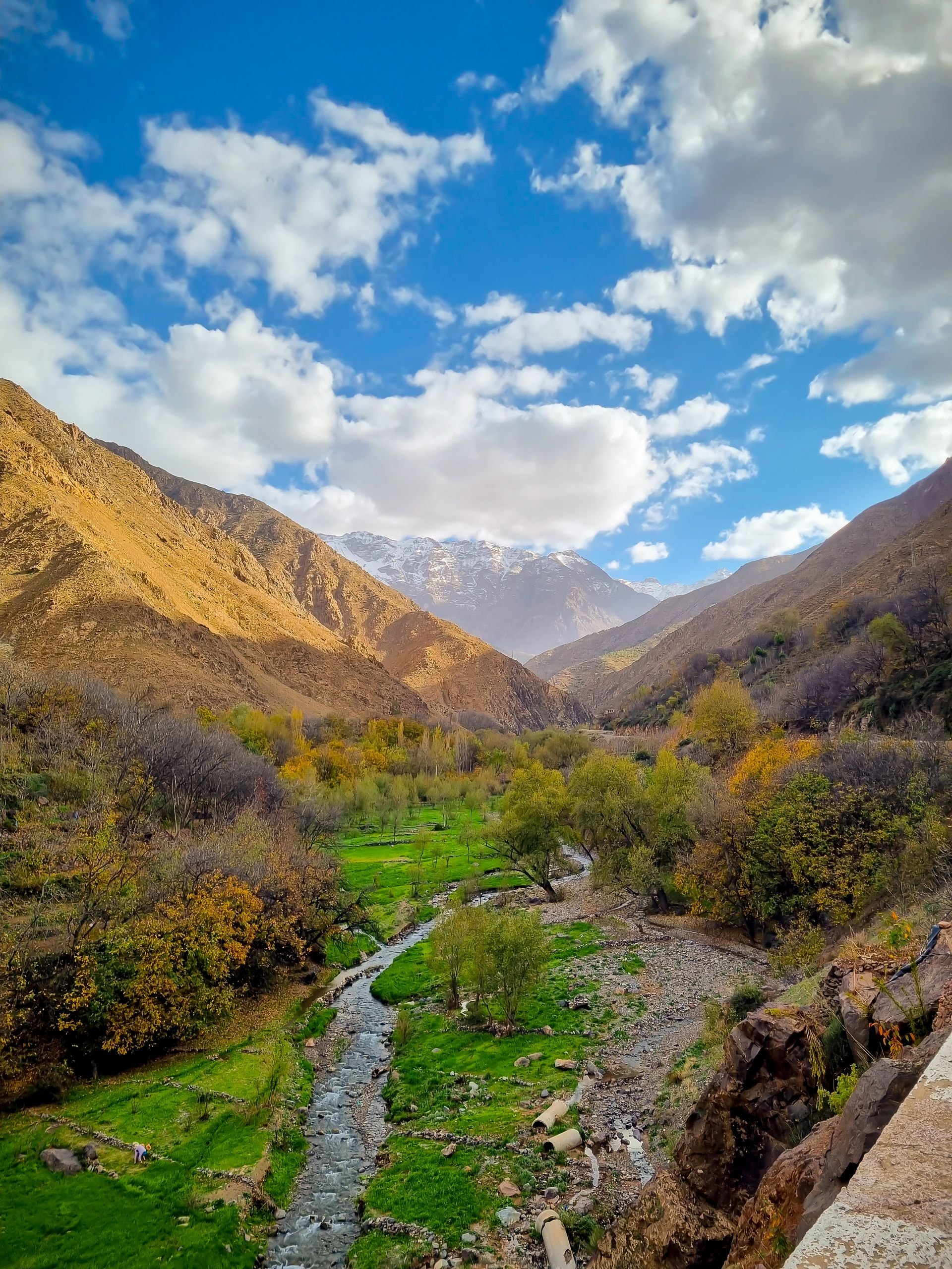 Randonnée d'une journée dans le Haut Atlas (Imlil)