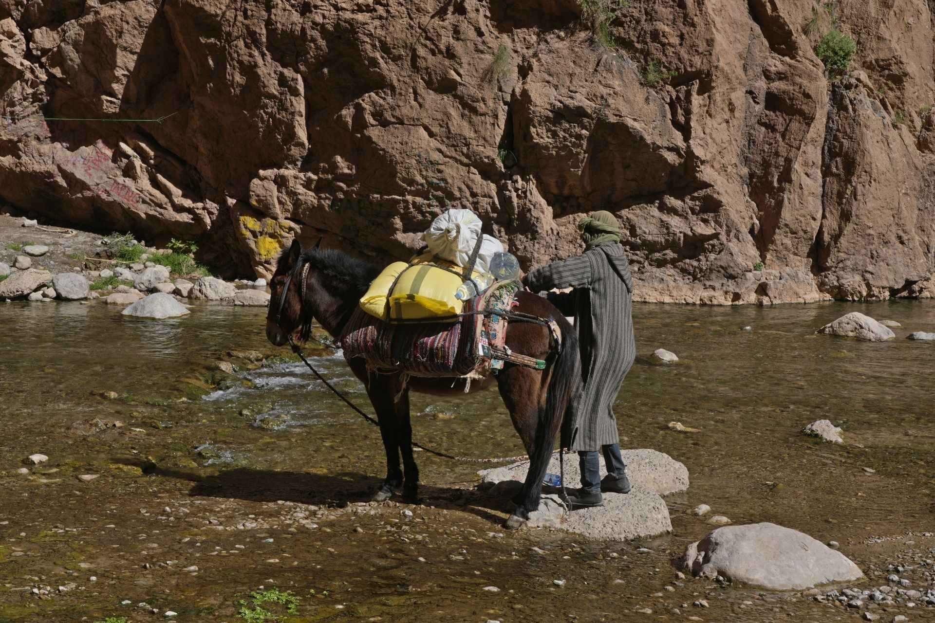Randonnée d'une journée dans le Haut Atlas (Imlil)