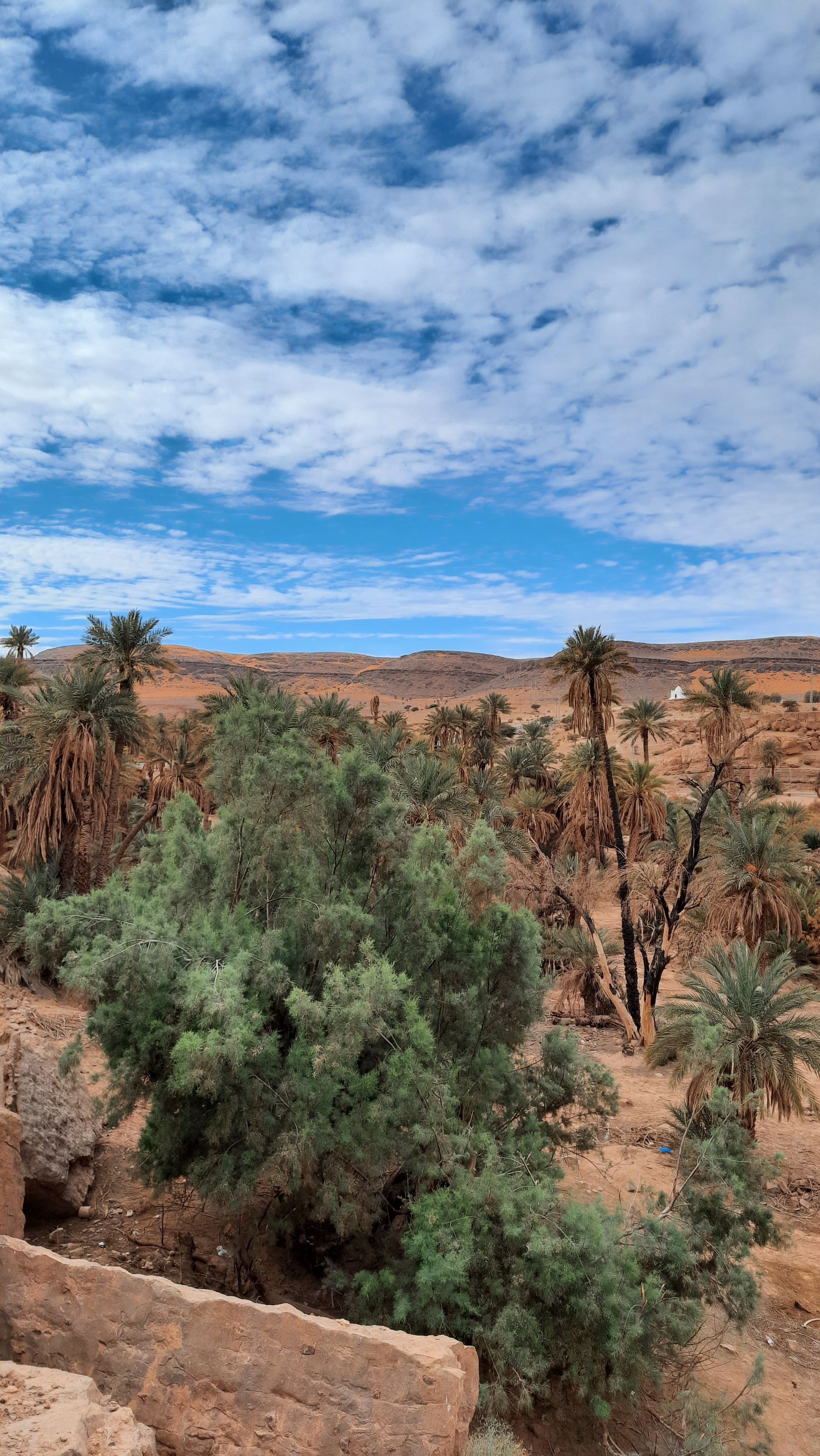 Zagora & vallée du Drâa, Maroc