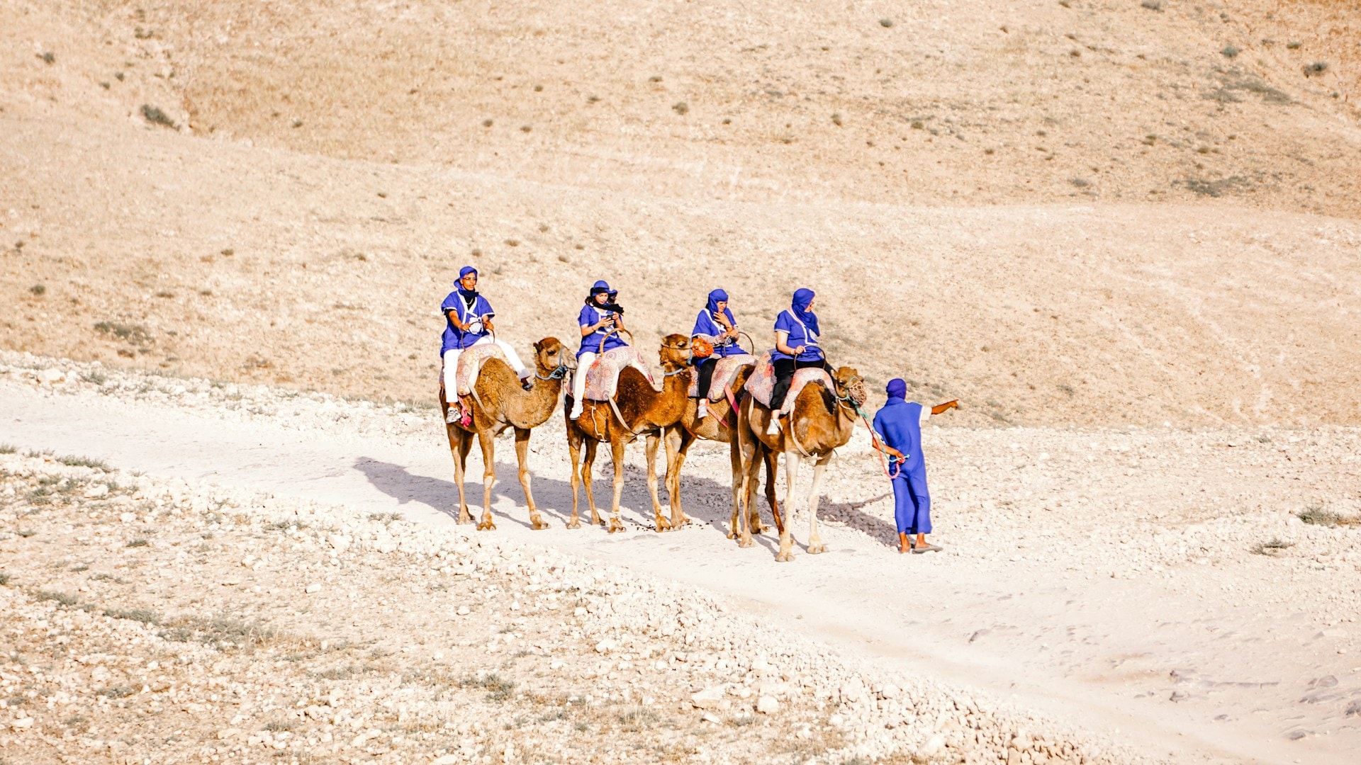 Balade à dos de dromadaire à Agafay