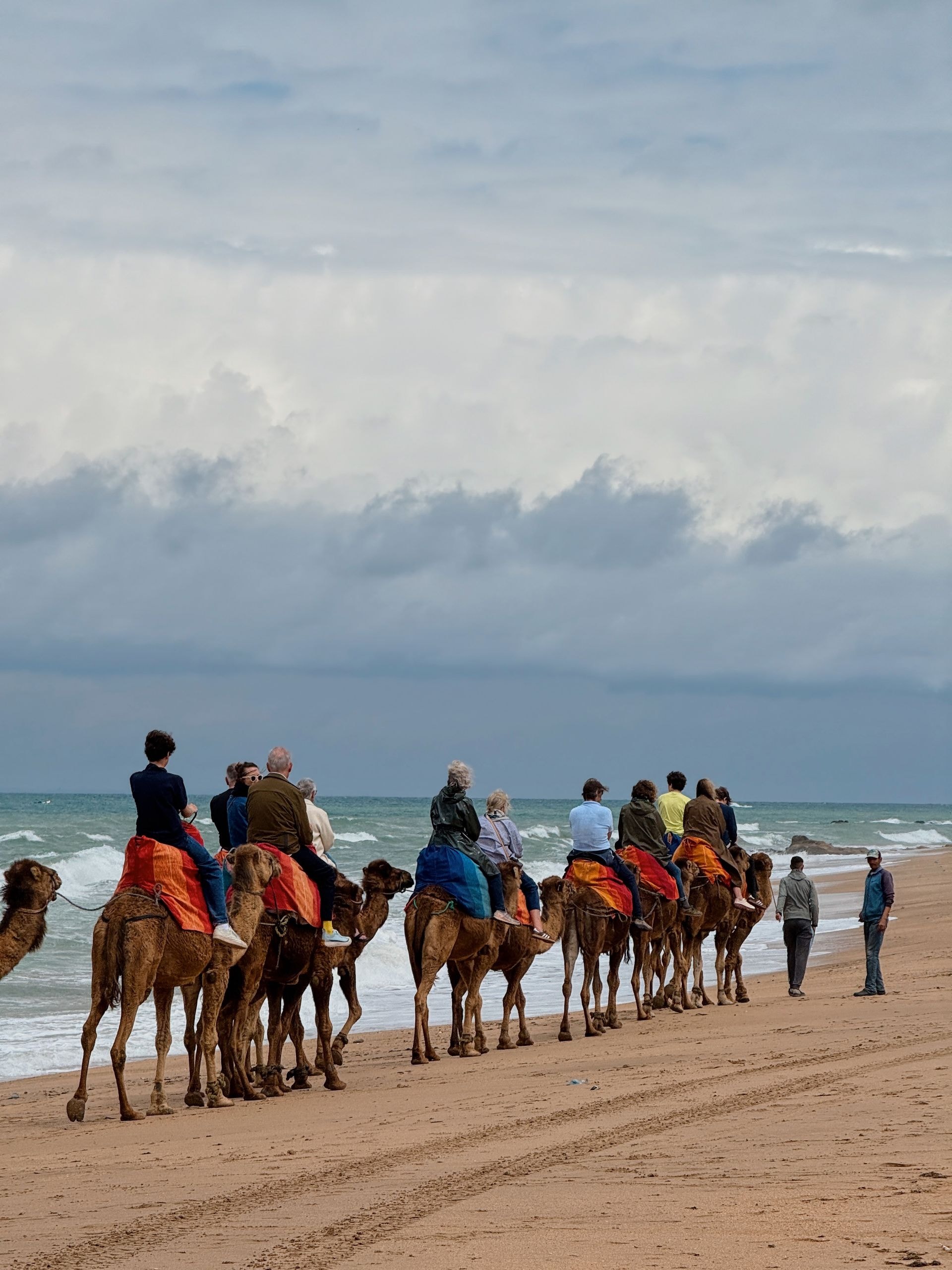 Balade à dromadaire sur la plage d'Agadir