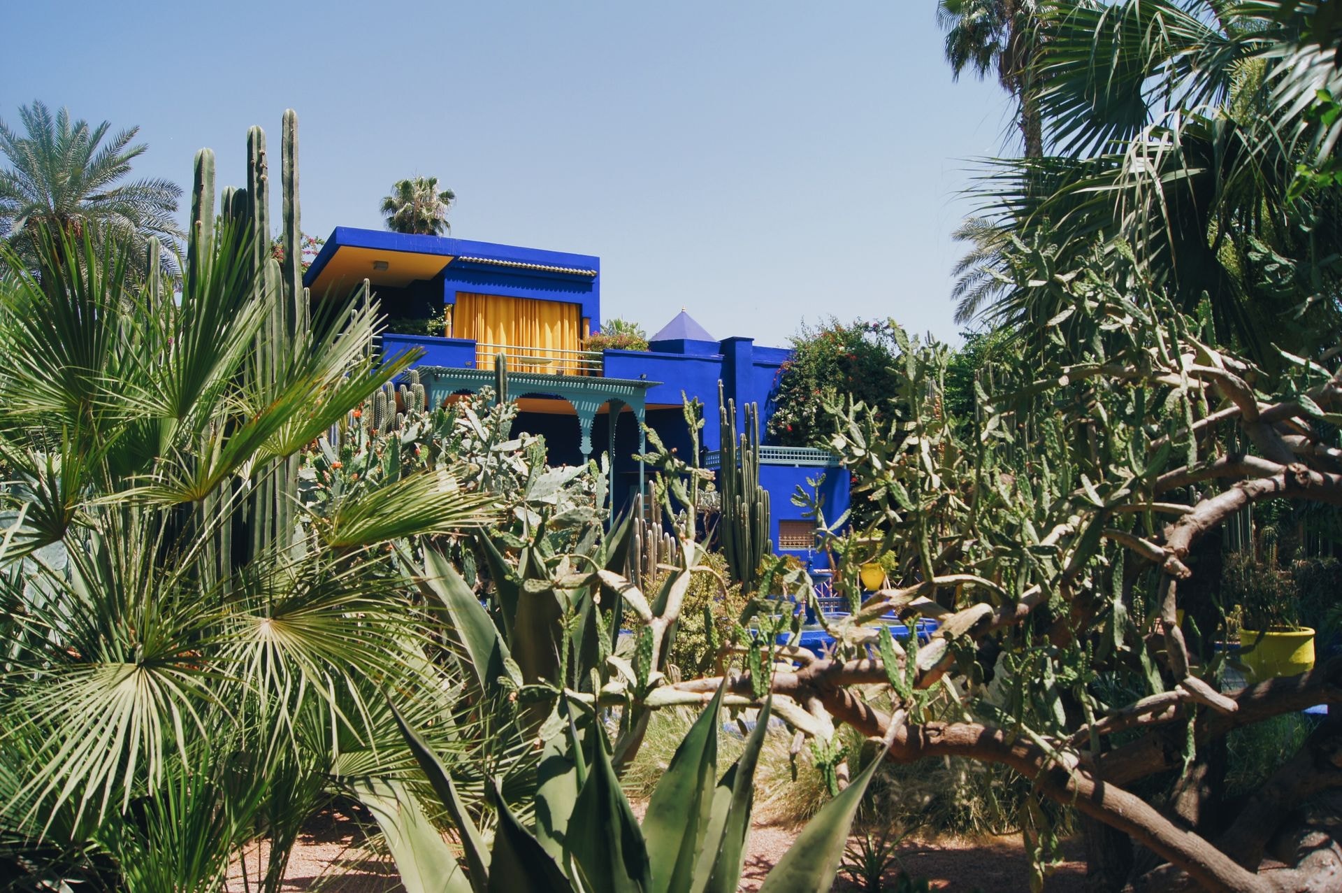 Jardin Majorelle et musée Yves Saint Laurent